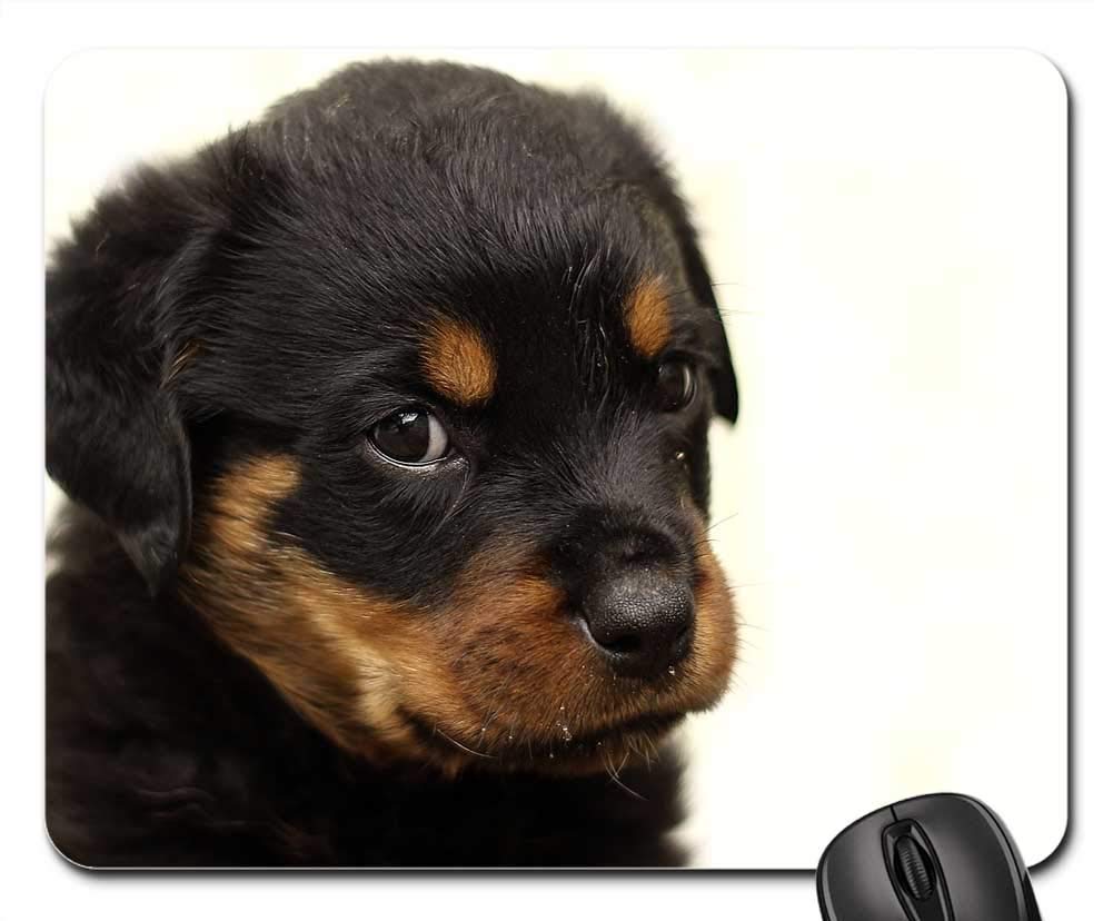 Premium Gaming Mouse Pad with Rottweiler Puppy Dog Design - Non-Slip Rubber Base, Smooth Surface for PC & Laptop - Perfect for Gaming, Office & Home Use