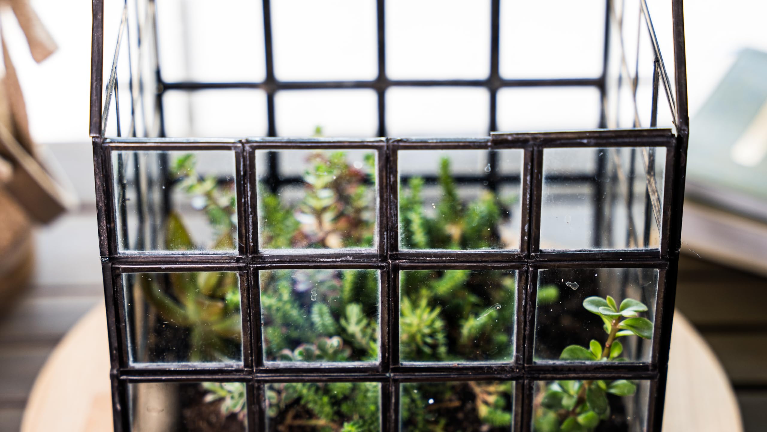 Large Glass Terrarium with Lattice Design - 12