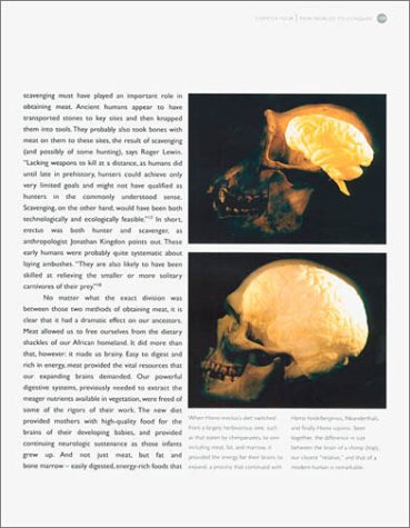 Dawn of Man: The Story of Human Evolution - Perfect for History Buffs, Science Enthusiasts & Classroom Learning