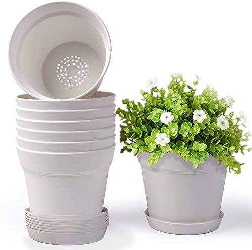 White-8pcs