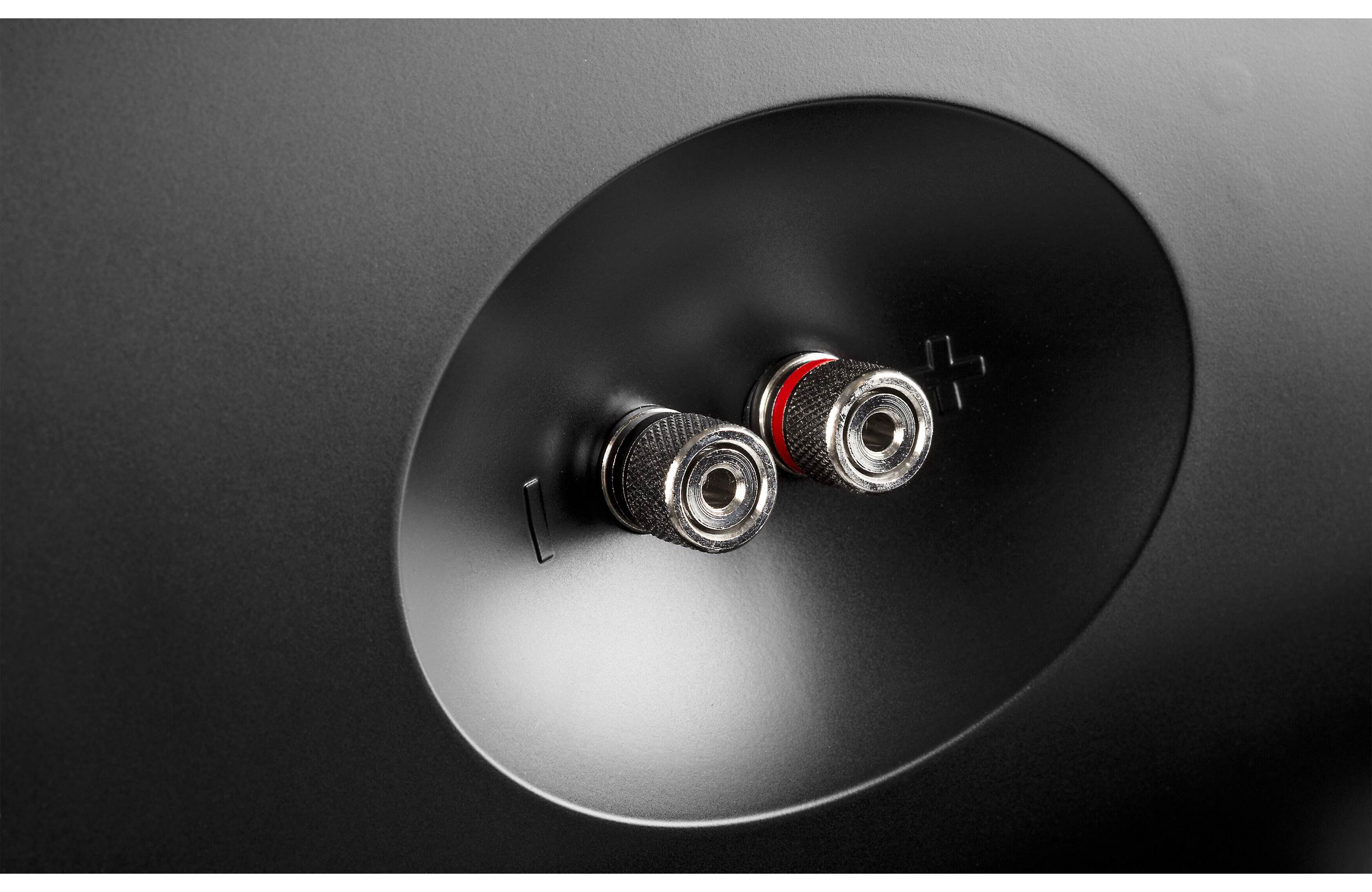 Definitive Technology Dymension AW 550 Outdoor Speakers - 5.25