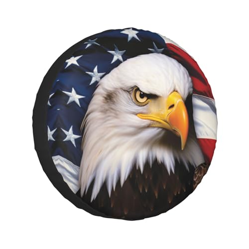 American Flag Eagle