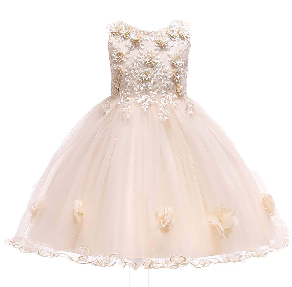 Flower Baby Girls Princess Dress - Embroidered Wedding Party Birthday Pageant Prom Gowns for Formal Occasions | Perfect for Weddings, Birthday Parties, Pageants & Special Events