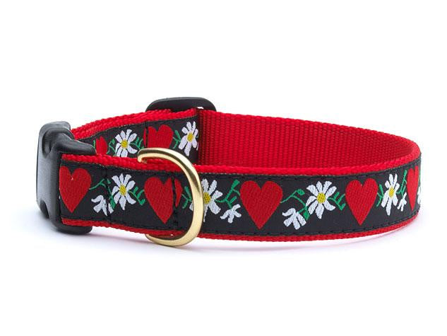 Hearts & Flowers Dog Collar - Adjustable Pet Collar with Floral Design for Small Medium Large Dogs - Perfect for Walks, Training & Special Occasions