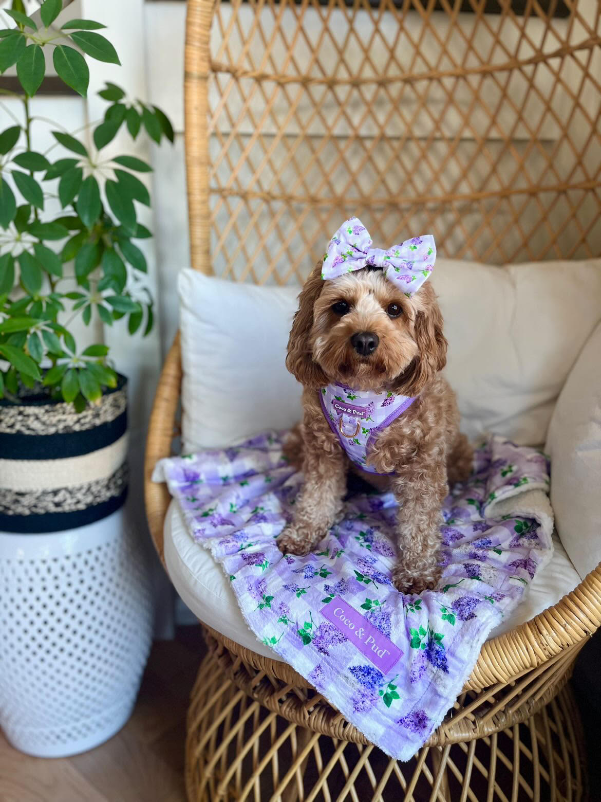 Luxury Gingham Lilac Throw Blanket - Soft & Cozy Plaid Blanket for Bed, Couch, Sofa - Perfect for Home Decor, Gifts, and Relaxation - Coco & Pud