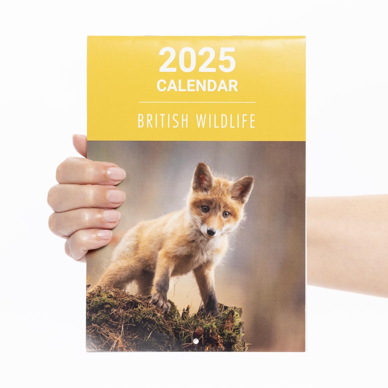 Evelay 2025 British Wildlife Wall Calendar - Slim Monthly Planner with UK Holidays | Family Organizer, Home & Office Decor | Perfect for Gift, Planning & Nature Lovers