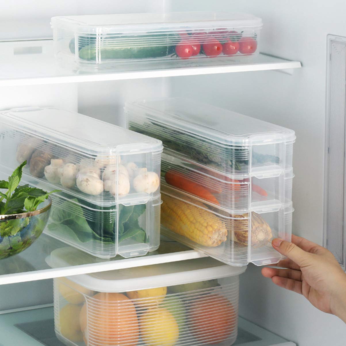BPA-Free Plastic Box Dumpling Containers with Lids - Airtight Refrigerator Crisper for Vegetables, Fruits & Food Storage - Perfect for Meal Prep, Leftovers & Organizing Fridge