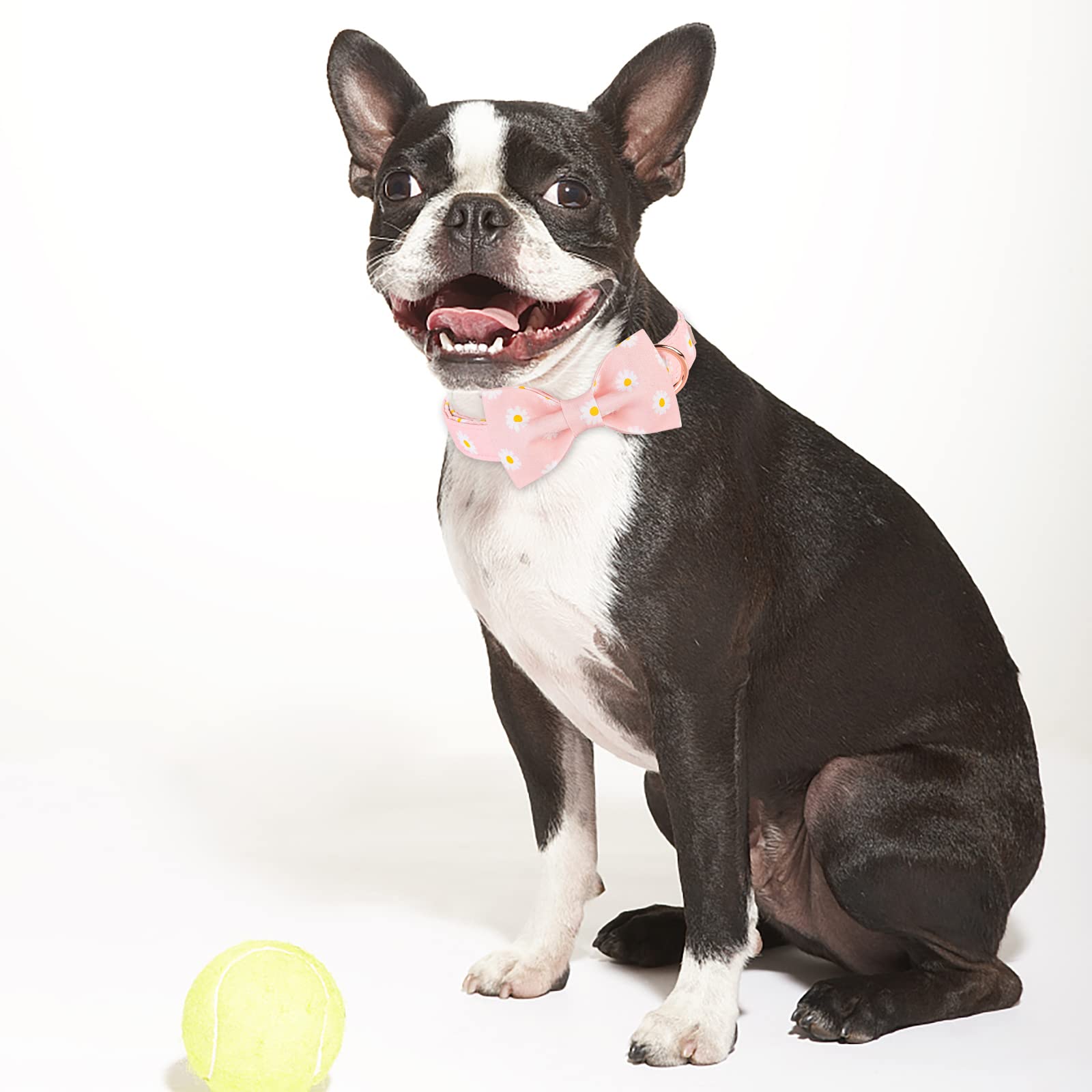 **Pink Daisy Bow Tie Dog Collar - Adjustable Cotton Puppy Collar with Safety Metal Buckle for Small, Medium & Large Dogs (13.5