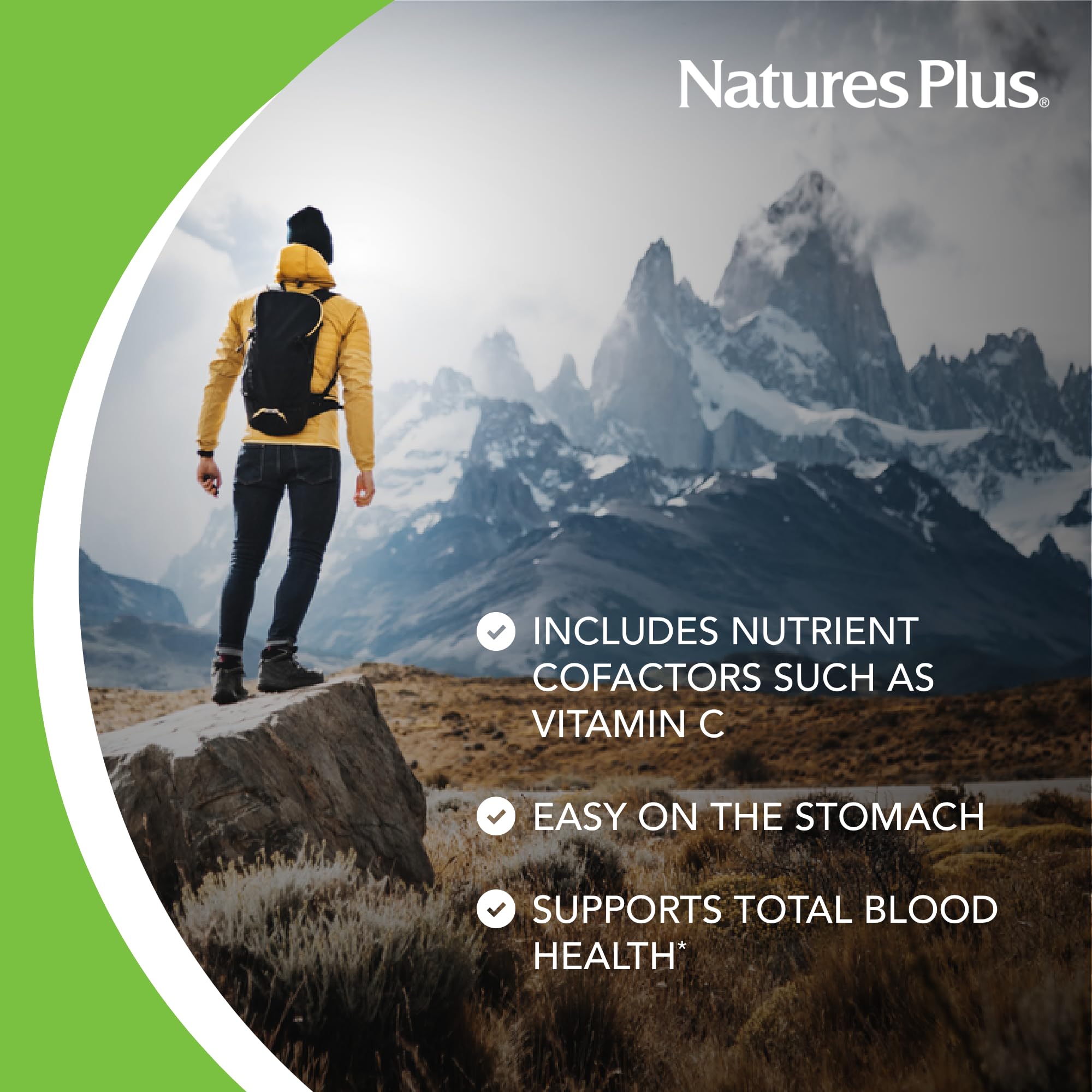 NaturesPlus Hema-Plex Iron Supplement - 60 Fast-Acting Capsules with 85mg Chelated Iron, Vitamin C & Bioflavonoids - Supports Healthy Red Blood Cells - Vegan, Gluten Free - 30 Servings - Ideal for Anemia Support & Energy Boost
