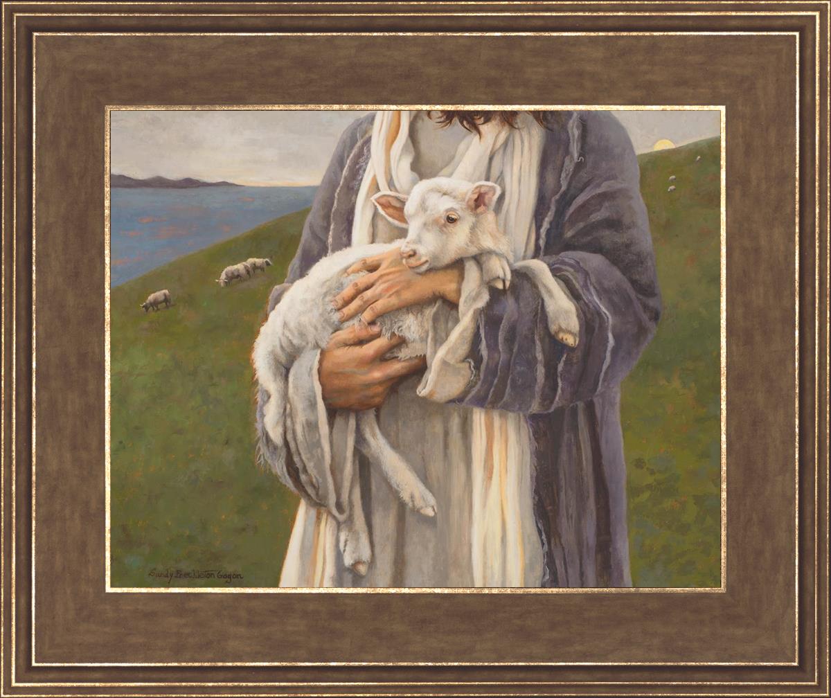 Amazing Grace by Sandy Freckleton Gagon - Inspirational Christian Book for Daily Devotion & Spiritual Growth