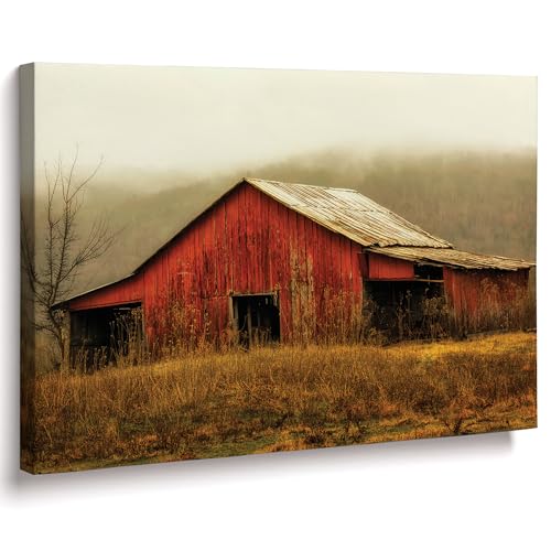 Skylight Barn in the Fog