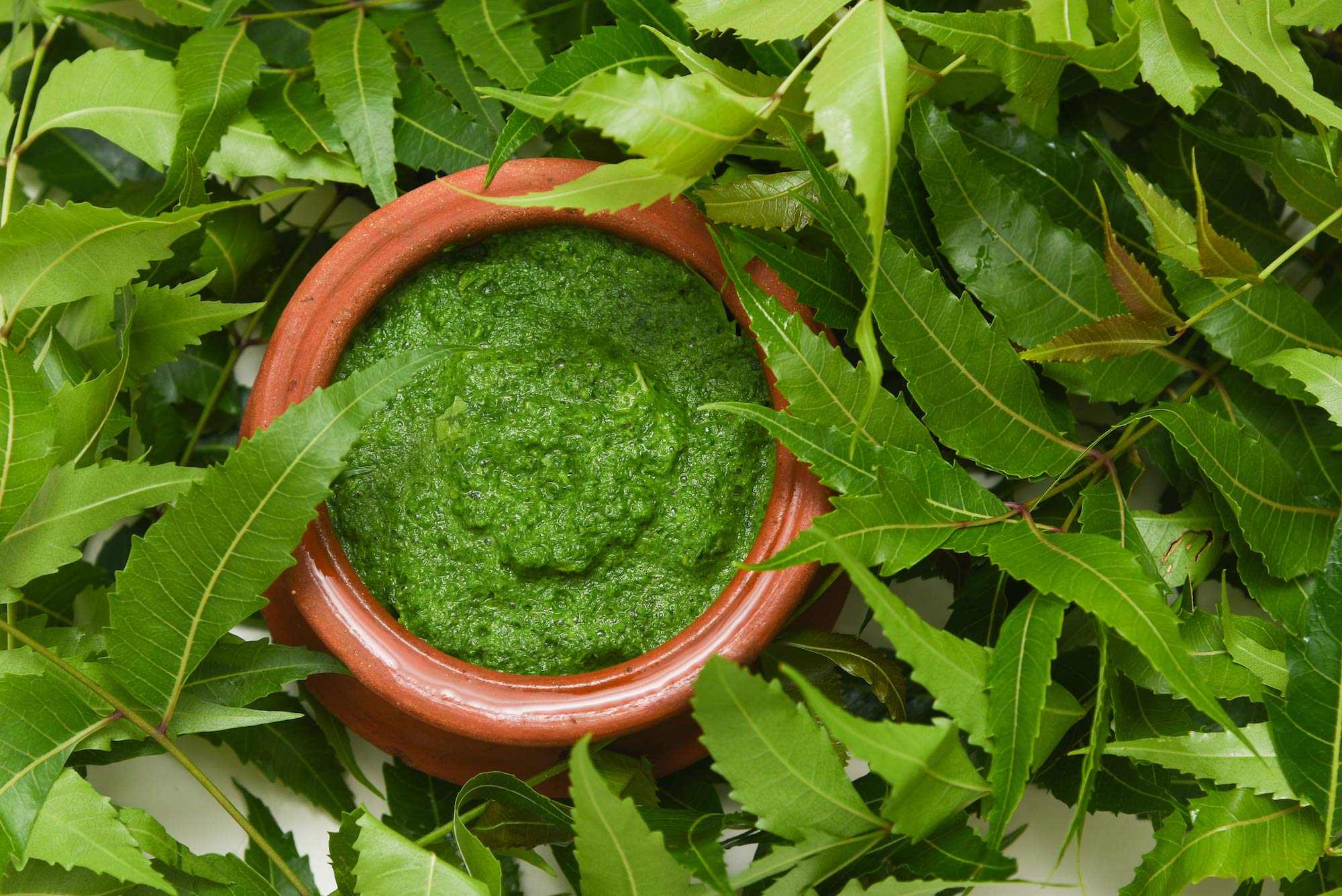 100% Pure Neem Powder for Hair & Skin Care - Organic, Chemical-Free Face Cleanser & Scalp Treatment (200g) | Promotes Healthy Hair Growth & Clear Skin - Perfect for DIY Beauty & Ayurvedic Remedies