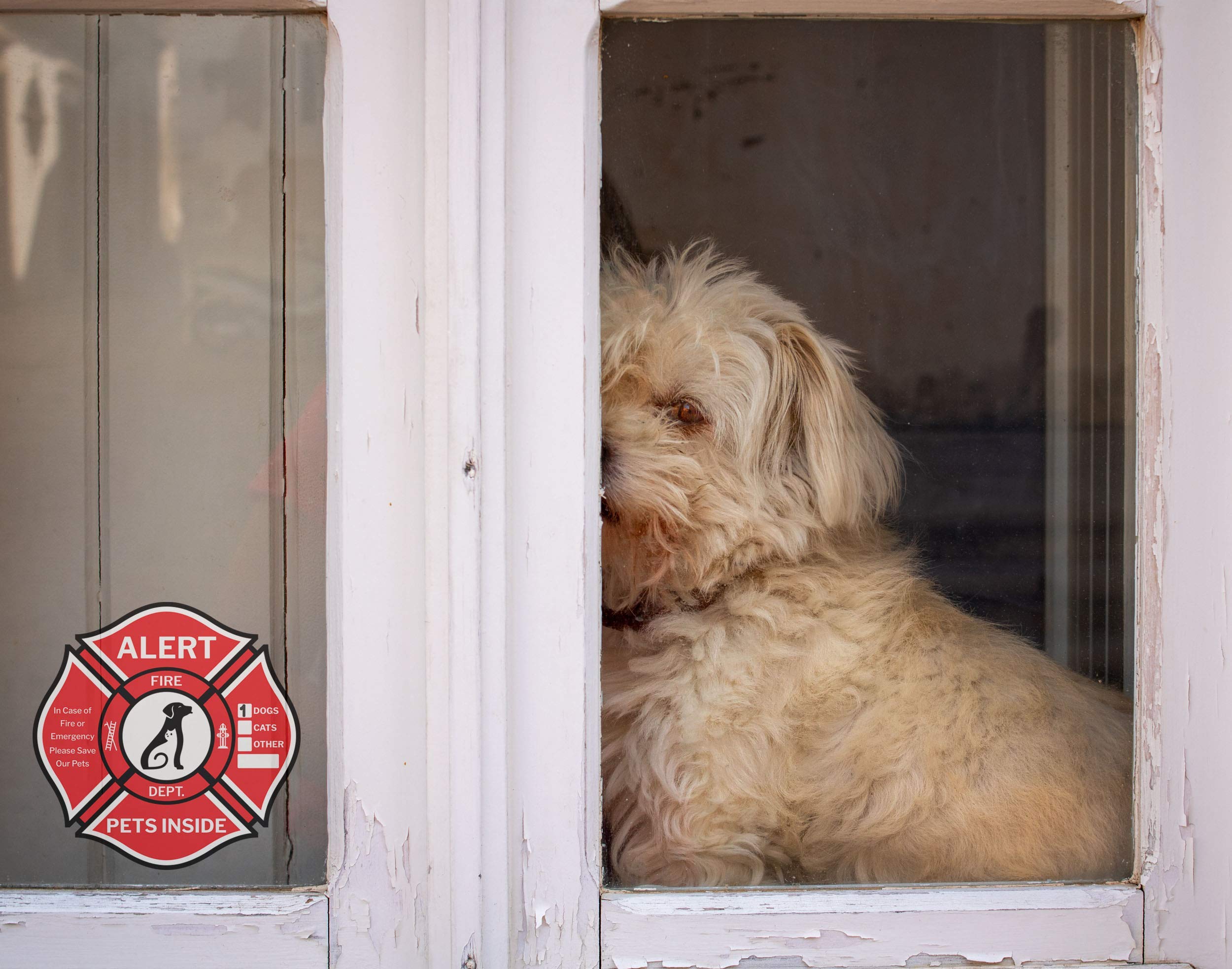 Double-Sided Pet Alert Stickers - 6 Pack Emergency Rescue Decals | UV Resistant & Waterproof | For Home Windows & Car Safety