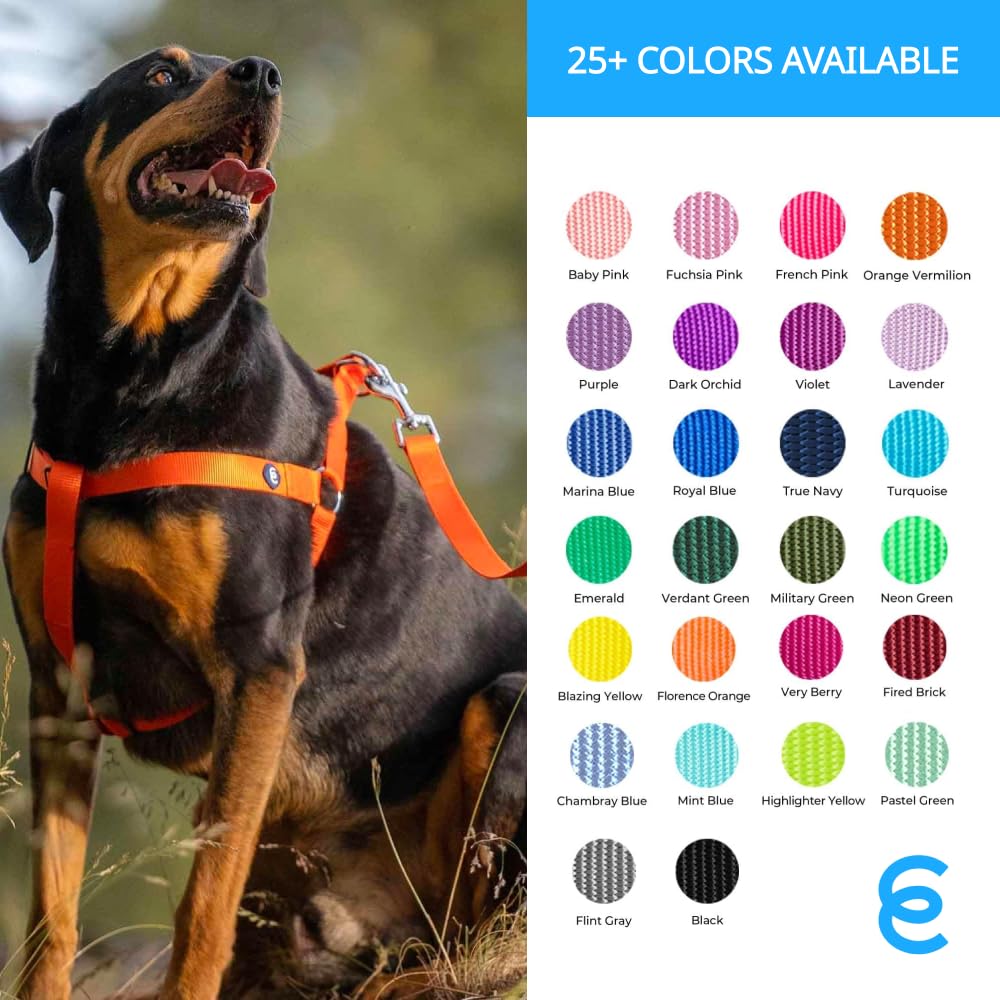 Premium Blueberry Pet Essentials Classic Nylon Dog Leash - 5ft x 3/8