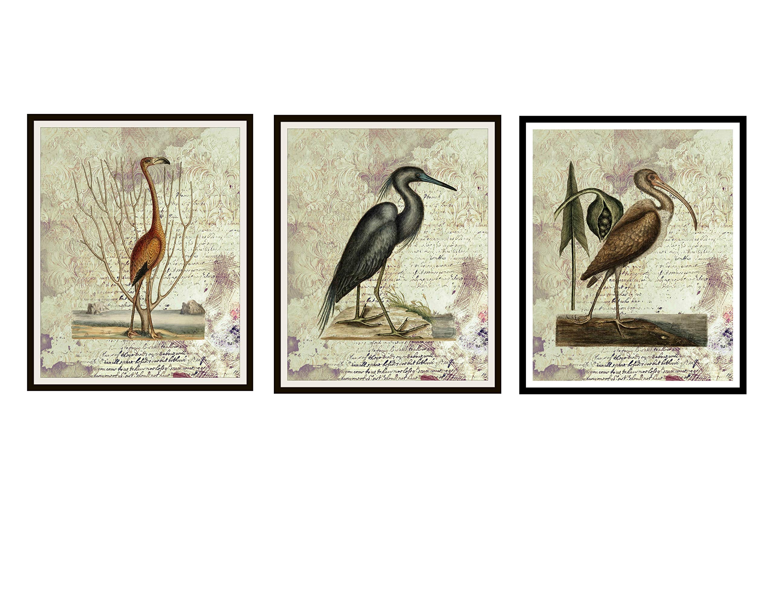 Vintage Botanical Storks and Herons Art Print Set of 3 - Rustic Farmhouse Wall Decor, Unframed Posters in 8x10 or 11x14 - Perfect for Living Room, Bedroom & Office Decor