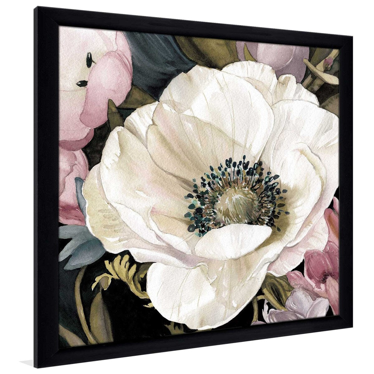 Anemone Study II by Carol Robinson - Vibrant Floral Art Print on Acrylic - Perfect for Living Room, Bedroom & Office Wall Decor