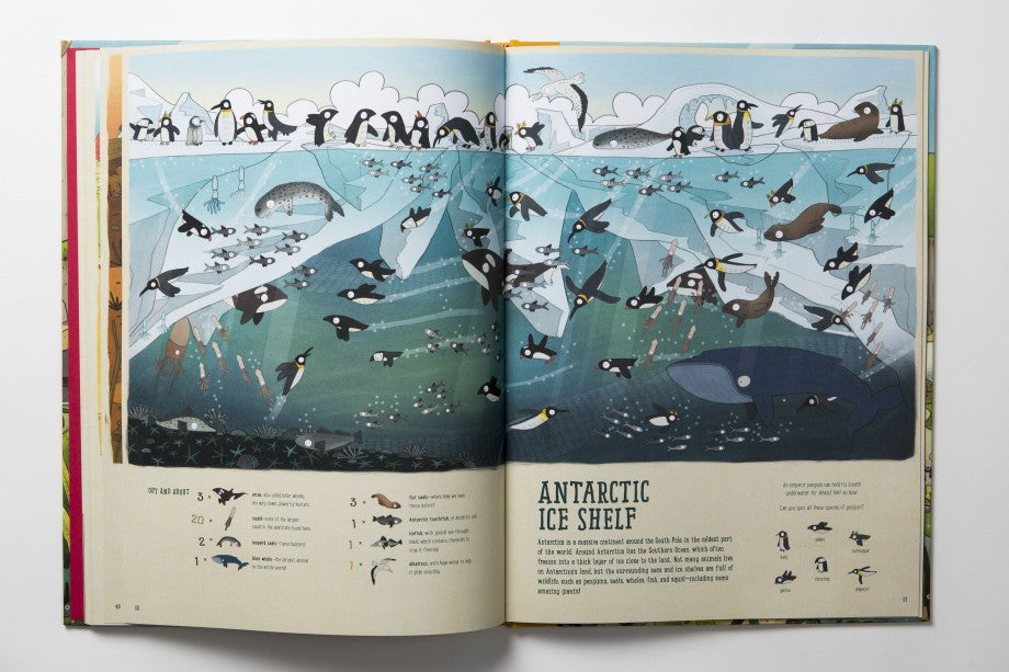 Amazing Animal Adventure: Around the World Wildlife Spotting Expedition Book - Perfect for Kids' Nature Exploration & Travel Learning