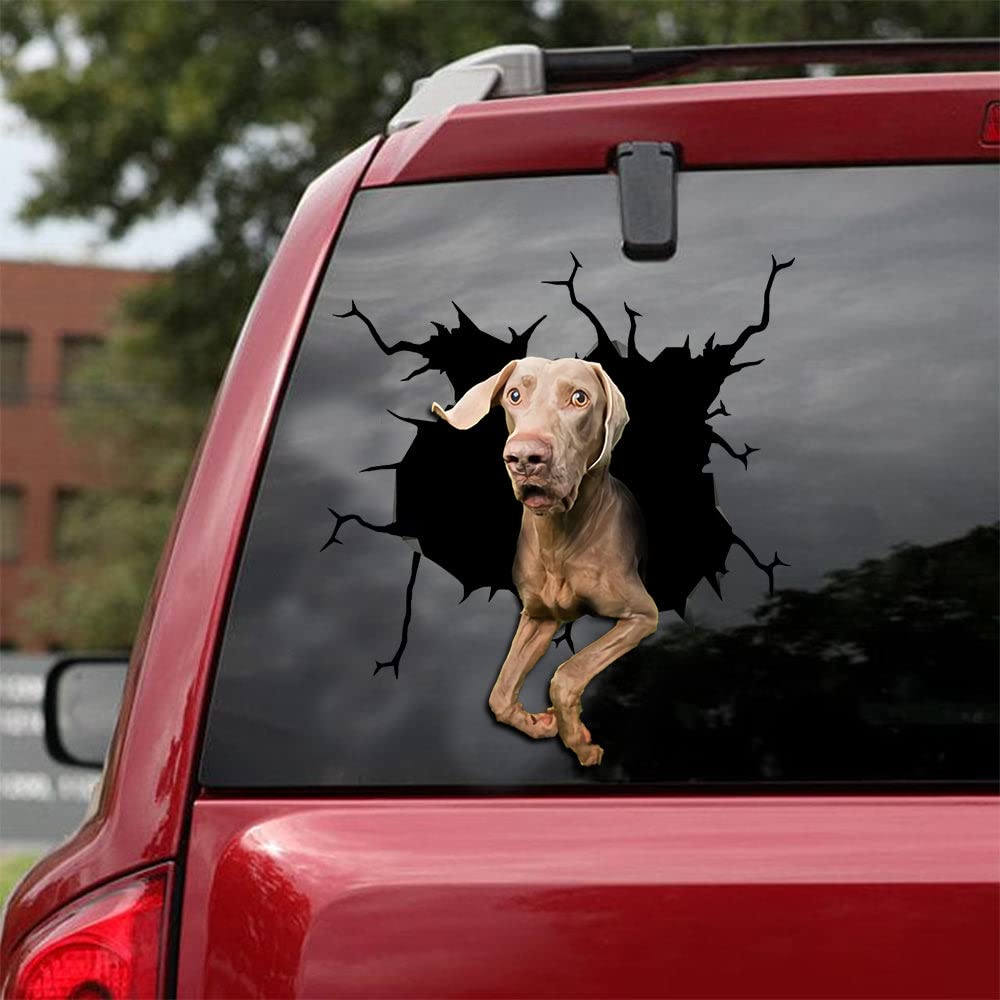 Golden Weimaraner Dog Crack Car Sticker - Premium Vinyl Decal for Weimaraner Lovers - Waterproof & UV Resistant - Perfect for Cars, Windows, Laptops & Gifts - Show Your Love for Weim Dogs Anywhere!