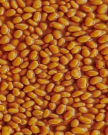 Baked Beans