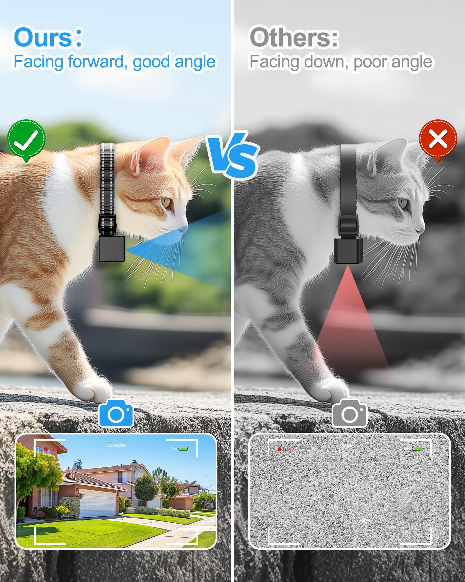 Pet Camera Collar - Cordless Video Recording for Cats & Small Dogs, Outdoor Use