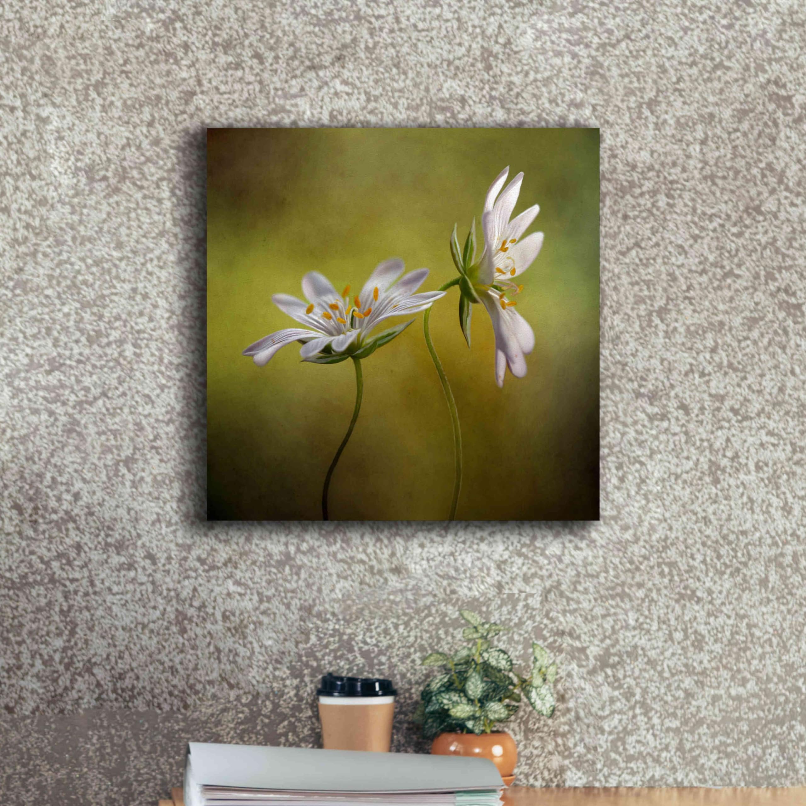 Epic Graffiti 'Echo' by Mandy Disher - Premium Giclee Canvas Wall Art Print 18x18 Inches - Modern Urban Home Decor for Living Room, Bedroom & Office