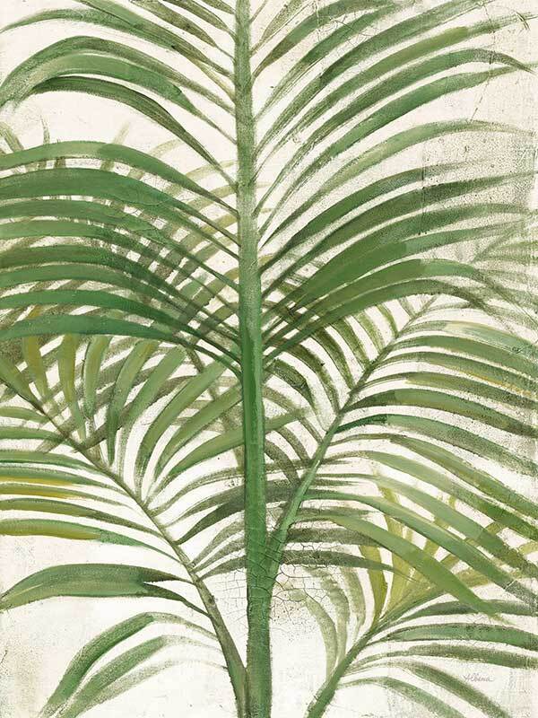 Areca Palm II Canvas Art Print - Tropical Botanical Wall Decor for Living Room, Bedroom & Office - Perfect for Home & Office Decor