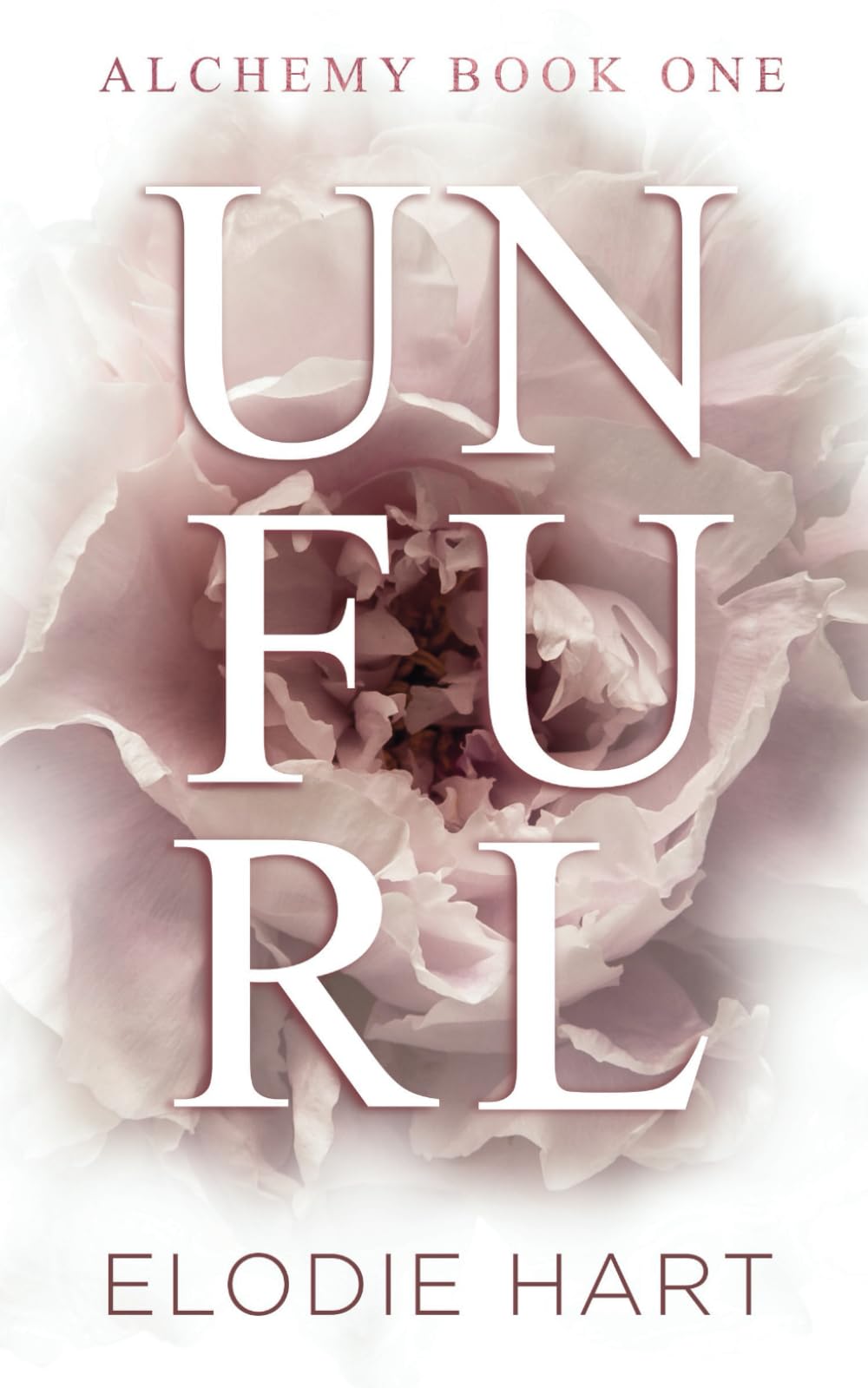 Unfurl: A Hot Age Gap Romance Novel (Alchemy Series) - Perfect for Beach Reads, Book Clubs & Steamy Weekend Escapes