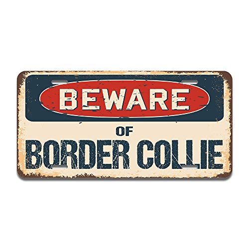 Beware of Border Collie