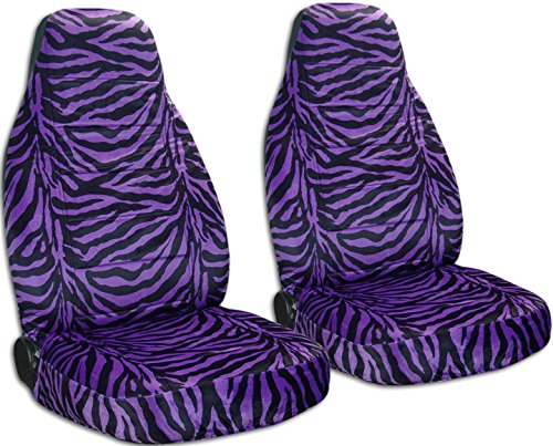 Purple Zebra