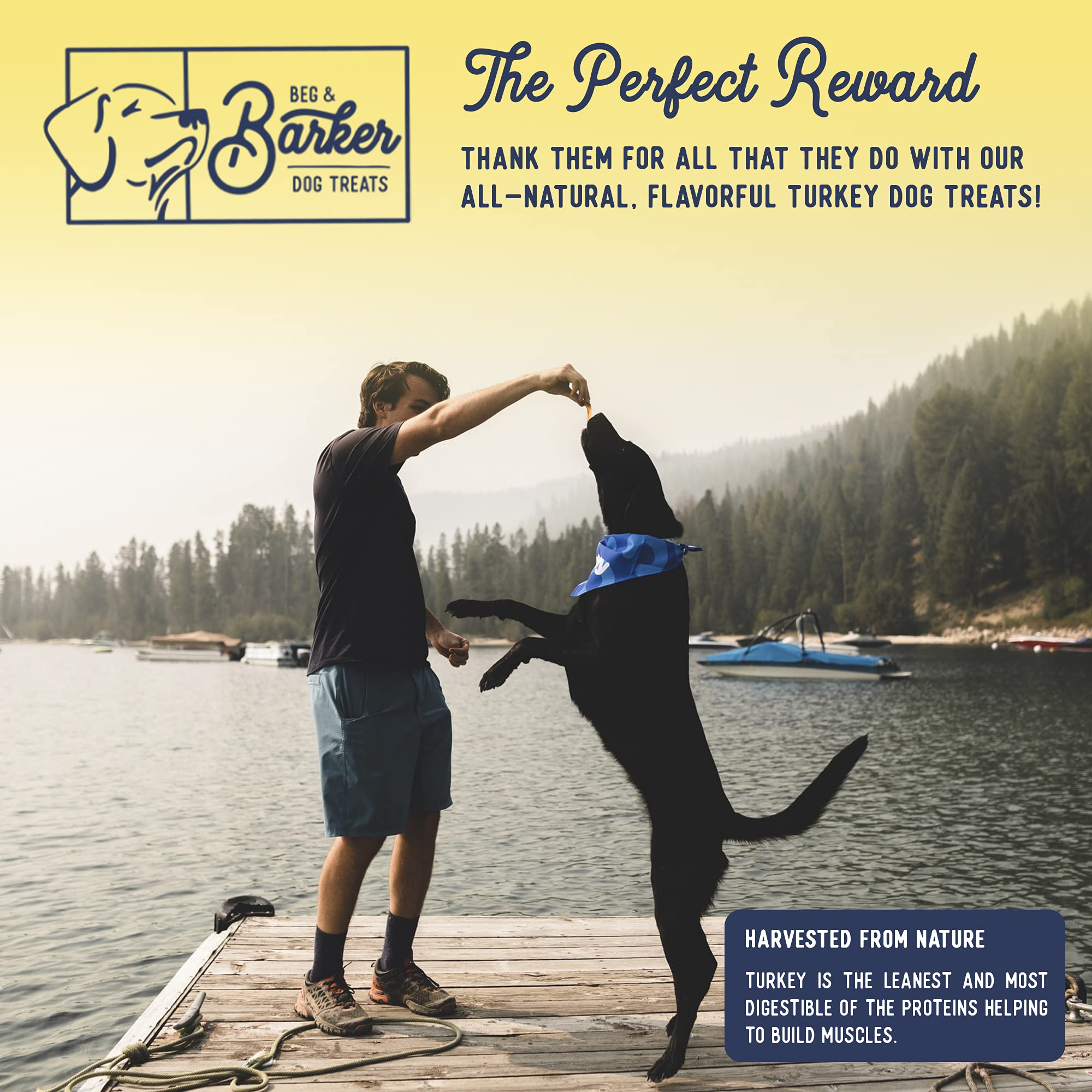 Beg & Barker Turkey Jerky for Dogs - 4oz Natural Grain-Free Dog Treats, High Protein Training Snacks, USA Made, Diabetic & Sugar-Free - Perfect for Reward Training, Travel & Outdoor Adventures