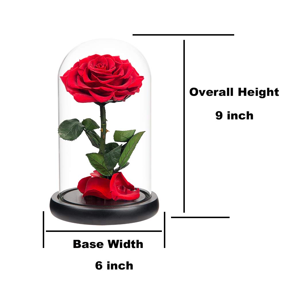 Handmade Real Preserved Red Roses in Glass Dome - Never Withering Romantic Gift for Her, Mother's Day, Birthday, Anniversary | Perfect for Home Decor, Wedding Centerpieces, and Special Occasion Gifts
