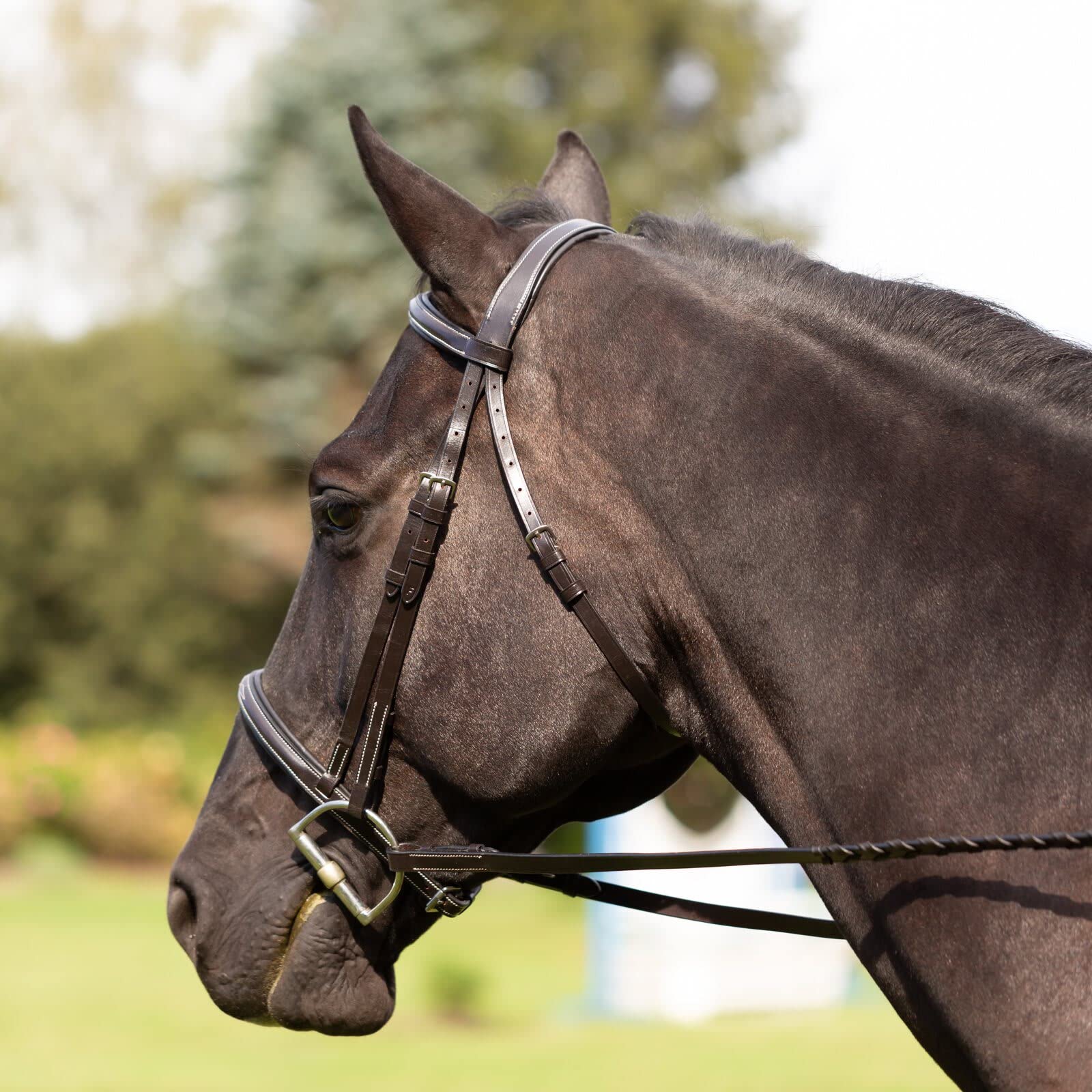 Equinavia Saga Adjustable Padded Hunter Bridle with Fancy Stitching - Premium Leather Horse Bridle with Reins for English Riding, Show Jumping & Dressage