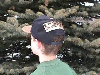 80-Pack Deerfly Patches - TredNot Deer Fly Repellent Stickers for Outdoor Activities, Hiking, Camping & Fishing - Natural Insect Protection
