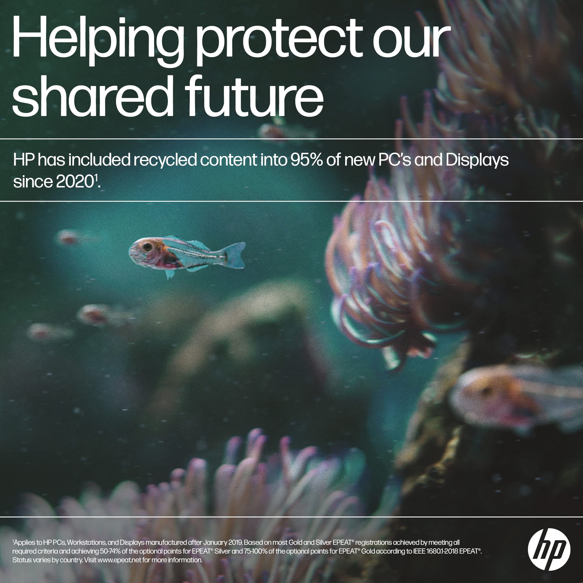 HP 15.6