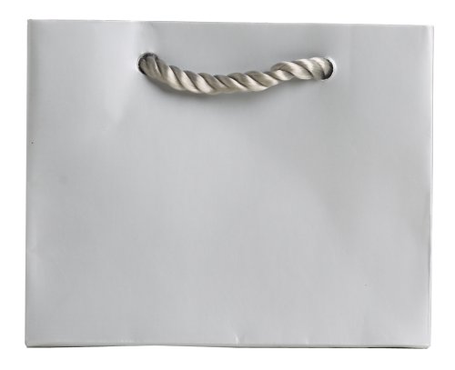 Metallic Silver