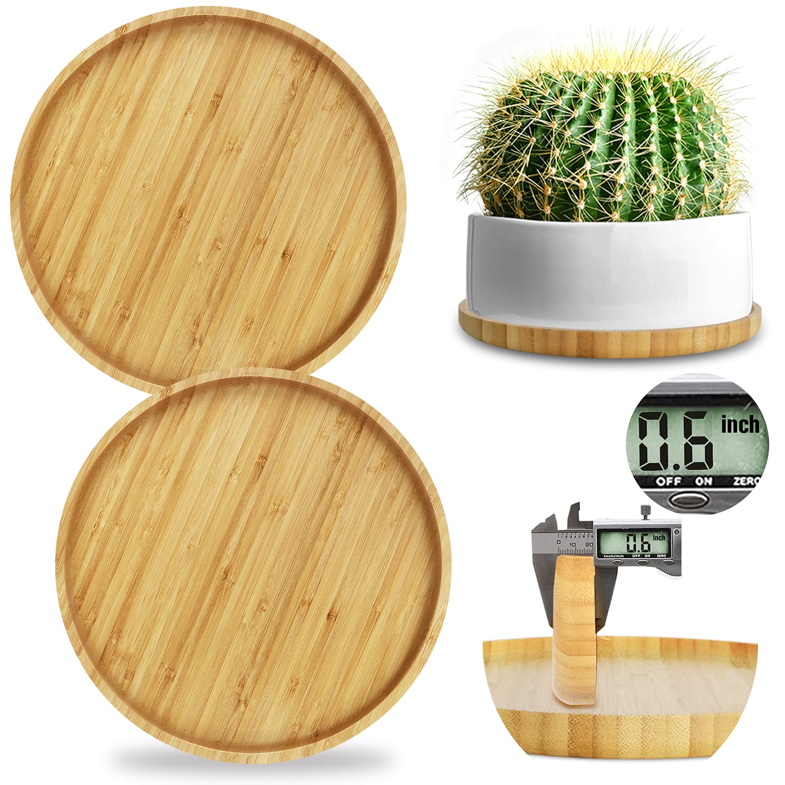 Ebingoo 2 Pack 8 Inch Bamboo Plant Saucers for Indoor Plants - No Drain Holes, Round Plant Trays for Pots, Water Catch Plates for Indoor Plants, Flower Pot Saucers & Drainage Trays - Perfect for Home Decor, Living Room, Office & Balcony Plant Care