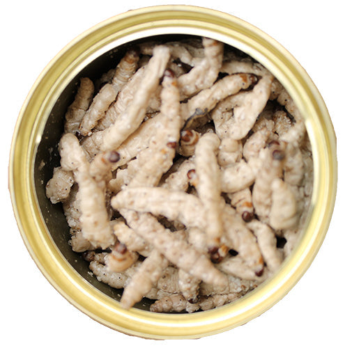 Premium Canned Caterpillars - High Protein Edible Insects for Snacks, Survival Food & Unique Culinary Experiences | Perfect for Camping, Hiking & Emergency Preparedness