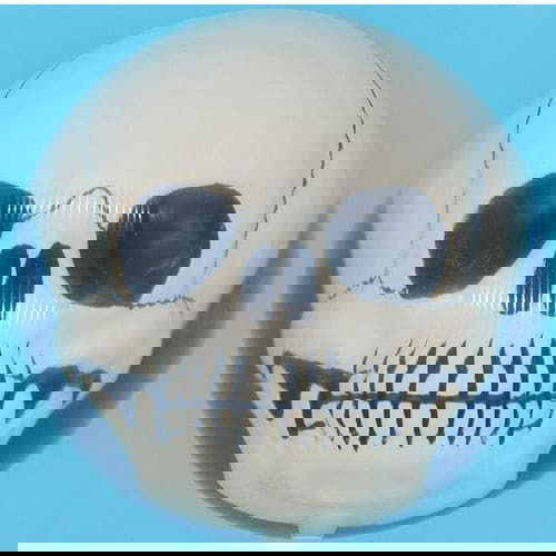 Clear Skull Bowling Ball 14.3 lbs - Unique Halloween & Gothic Style Bowling Accessory for Men & Women - Perfect for Themed Parties, League Play & Gift Giving