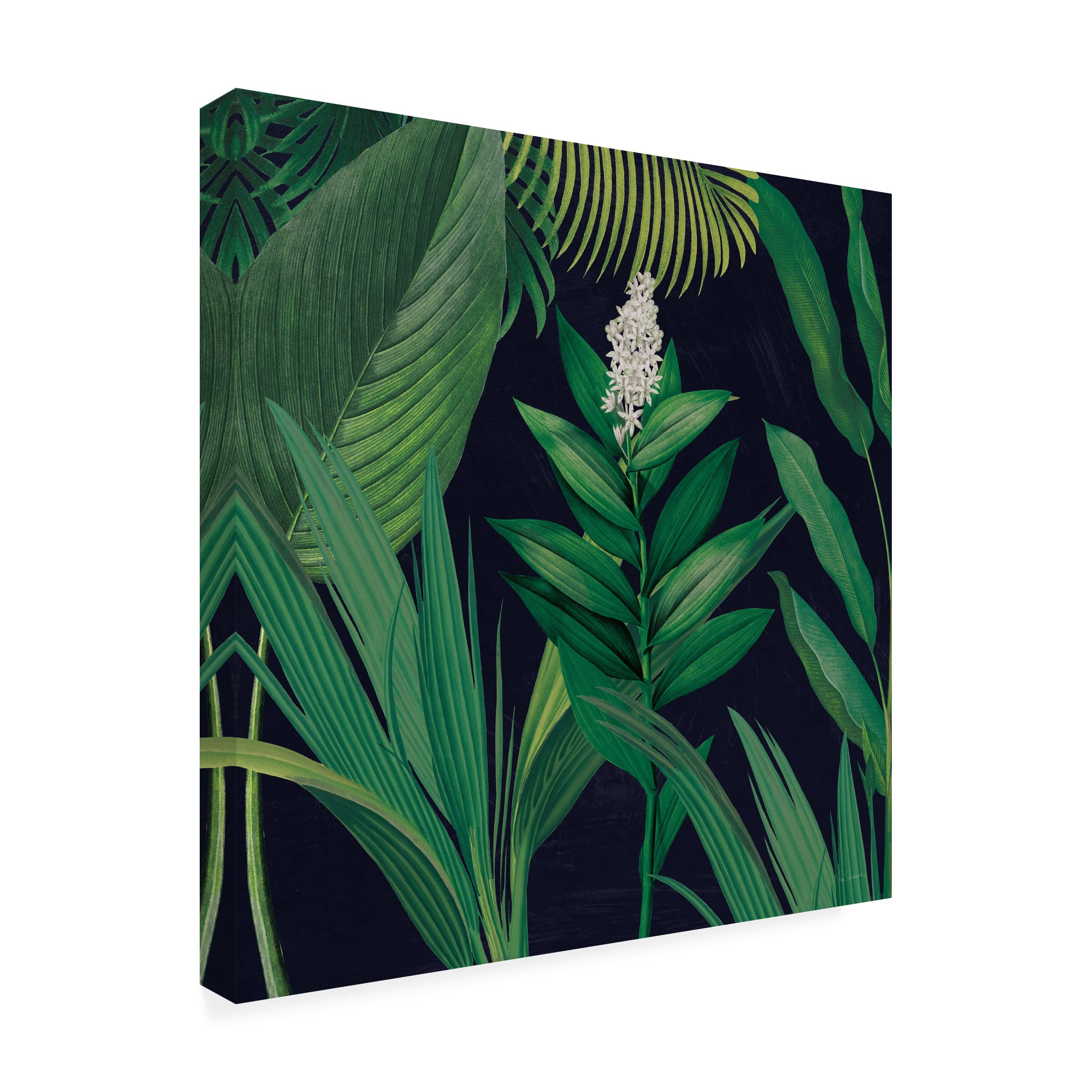 Dramatic Tropical I Canvas Wall Art by Sue Schlabach - Vibrant Beach & Palm Tree Painting for Living Room, Bedroom, or Office Decor