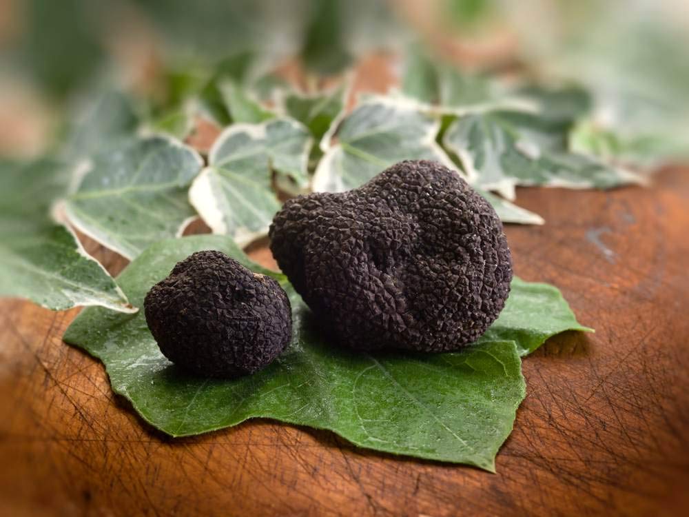 Premium Black Summer Truffle (Tuber aestivum) - Gourmet Truffle Sauce for Pasta, Risotto, Meat & Sushi - Luxury Food Gift (5 x 170g Jars) - Perfect for Fine Dining, Home Cooking & Gourmet Recipes