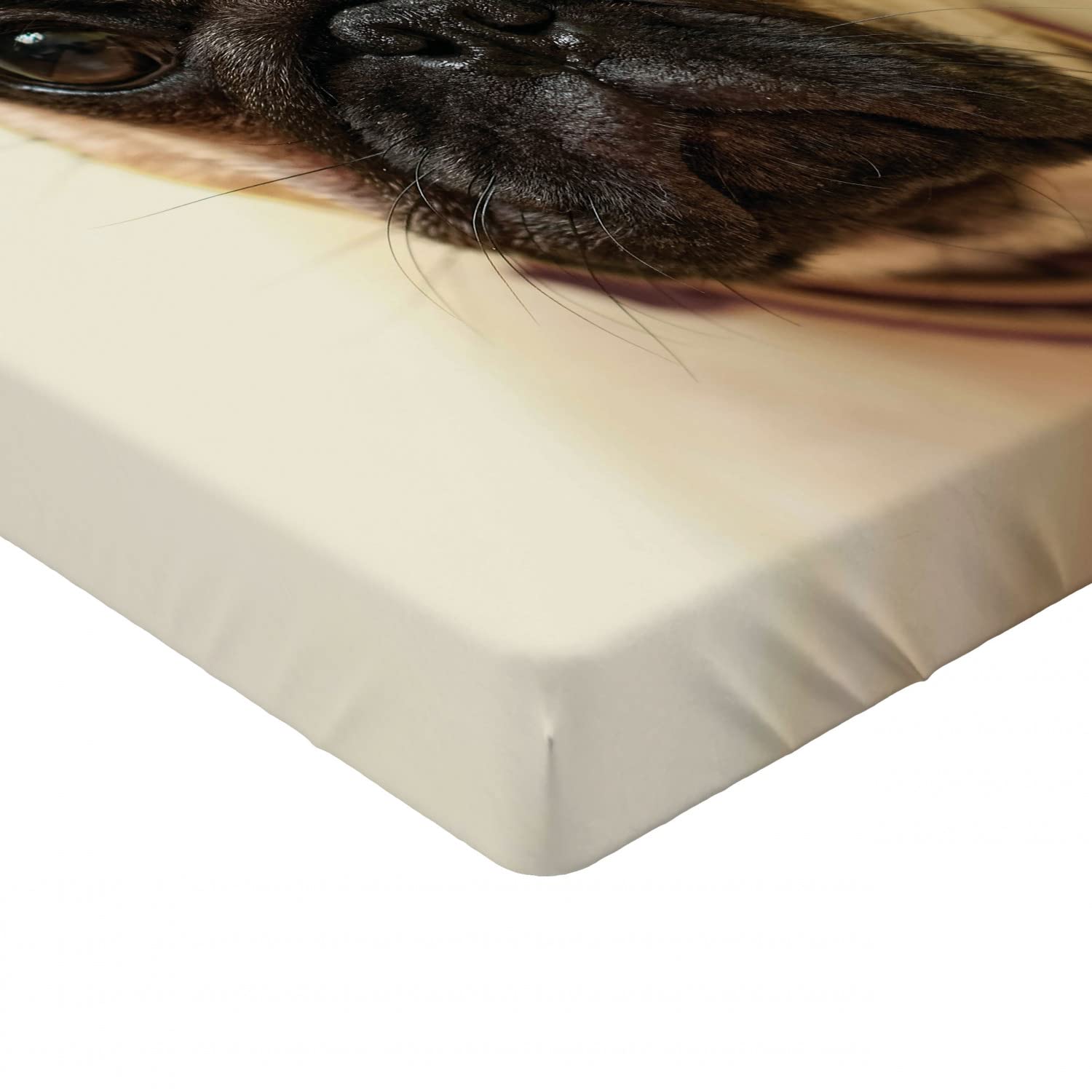 Ambesonne Pug 2-Pack Fitted Sheets - California King Size, Brown/Black Dog Design for Cozy Bedding