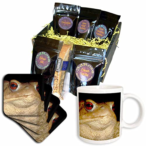 3dRose Macro Photo Portrait of A Common Toad - Unique Coffee Gift Basket for Nature Lovers | Perfect for Home Decor, Office Gifts & Wildlife Enthusiasts