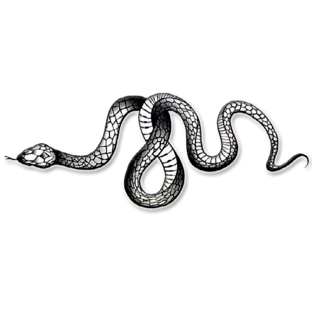 Voorkoms® Snake Temporary Tattoo - Waterproof Fake Tattoos for Men & Women - Perfect for Halloween, Costume Parties & Body Art