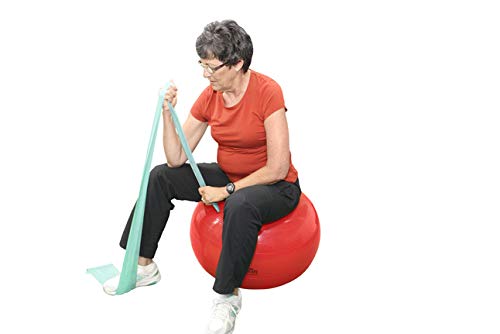 Cando® Latex-Free Resistance Bands - Heavy Duty Exercise Bands for Strength Training, Physical Therapy, and Home Workouts