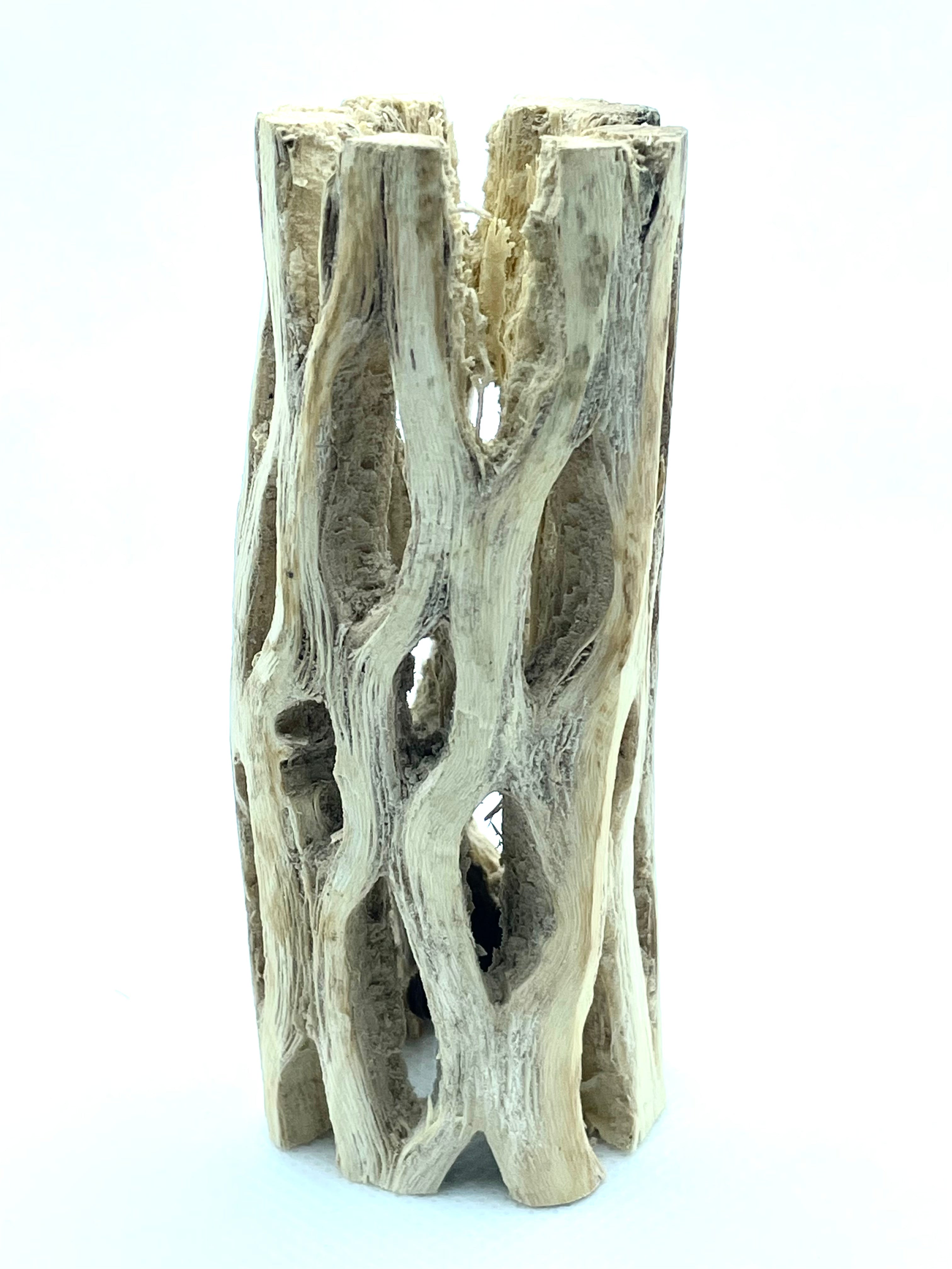3” Cholla Wood Log - Natural Aquarium Decor for Shrimp, Fish & Hermit Crabs - Perfect for Shrimp Tanks, Terrariums & Reptile Habitats