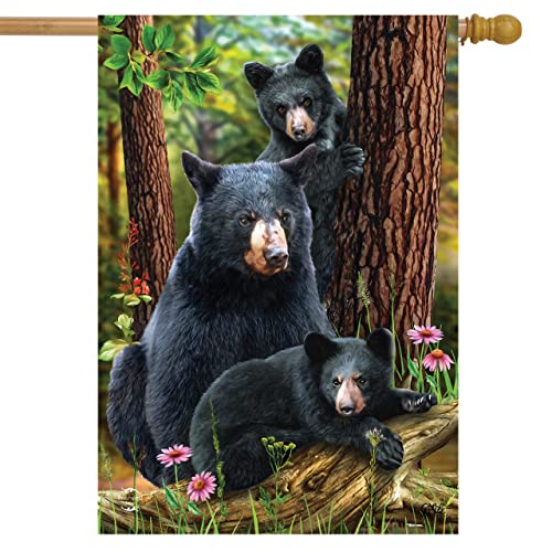01 - Black Bear