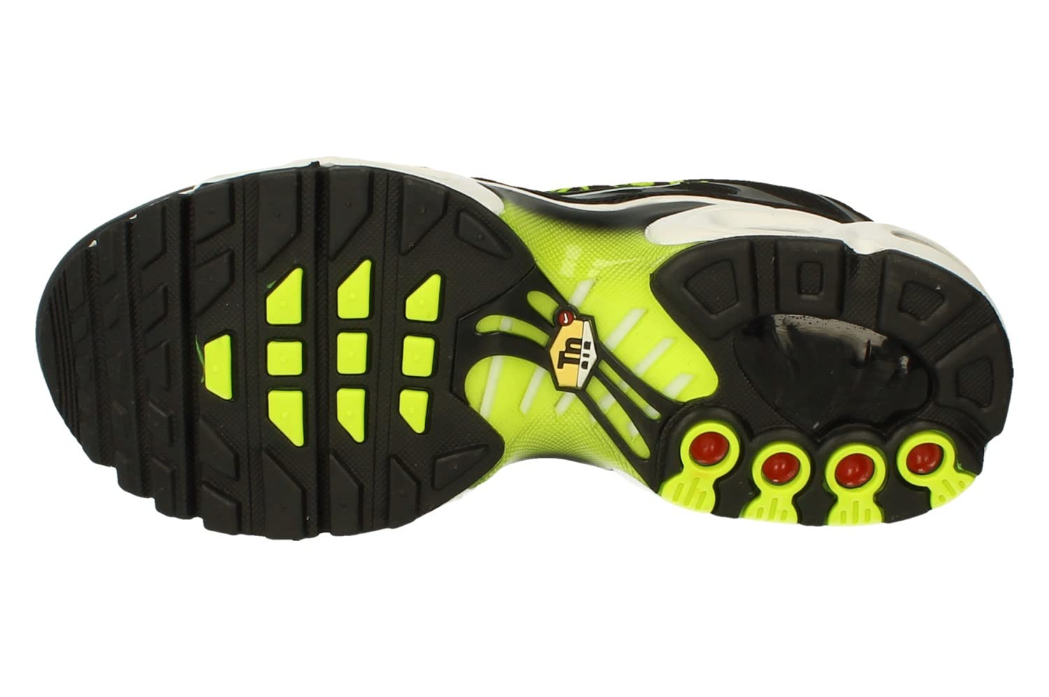 Nike Air Max Plus GS Running Shoes for Kids - Lightweight Cushioned Sneakers for School, Sports & Daily Wear (Style DD3229)