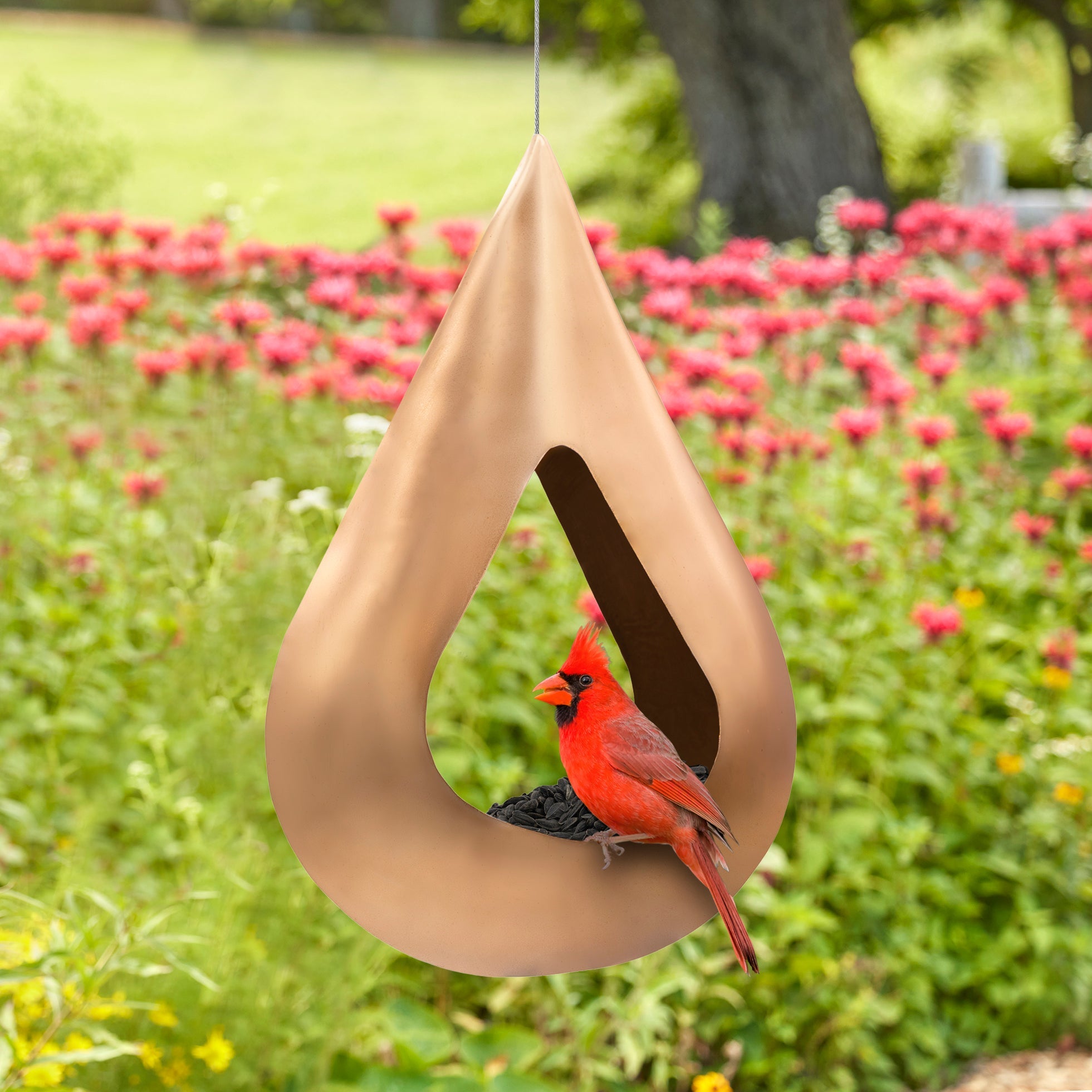 Rain Drop Fly Thru Copper Bird Feeder - Elegant Outdoor Garden Decor for Attracting Wild Birds (Perfect for Backyards, Patios & Nature Watching)