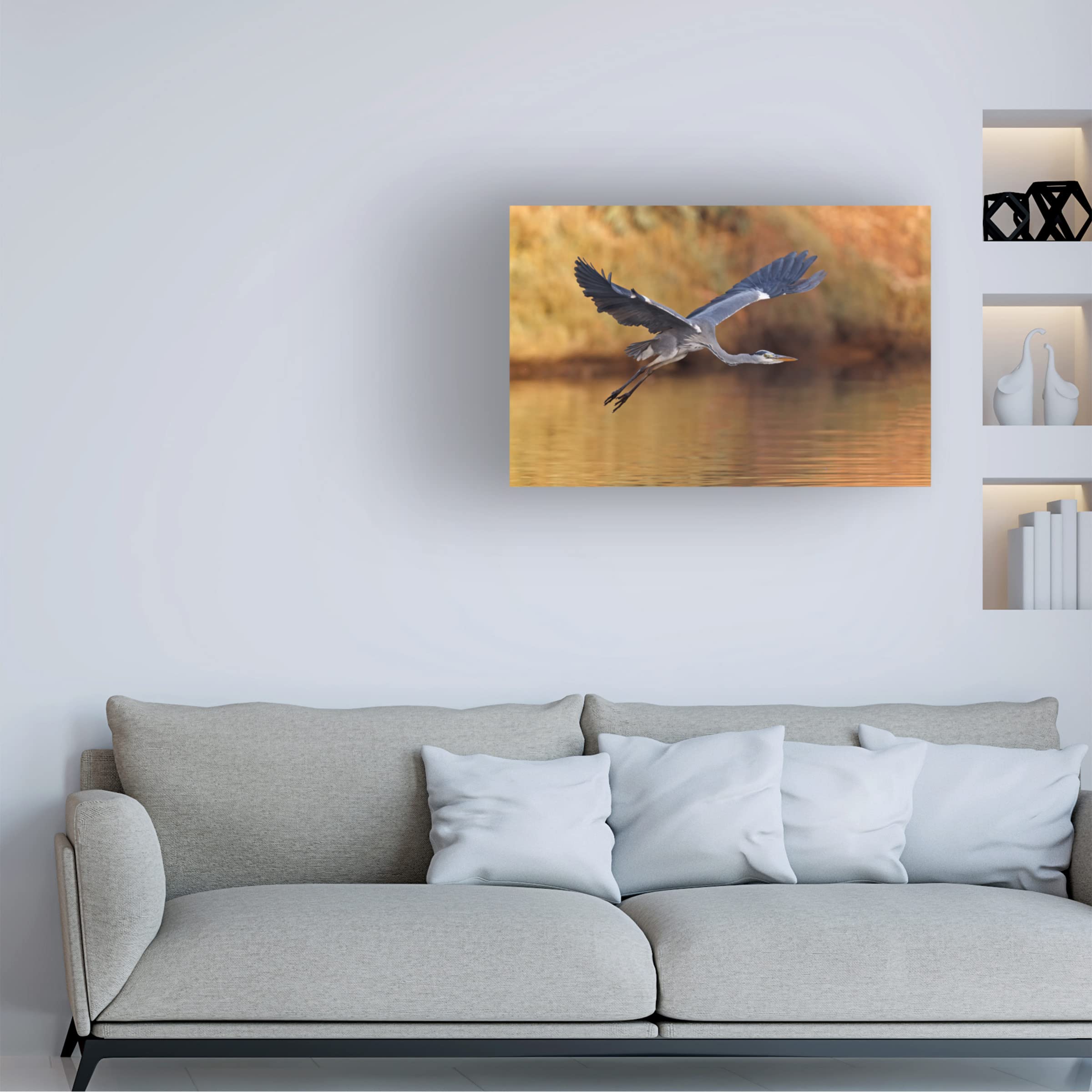 Trademark Fine Art 'Ardea Cinerea' Heron Canvas Wall Art by Assaf Gavra - Elegant Home & Office Decor for Living Room, Bedroom or Gallery