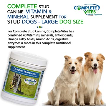 Stud Canine – Premium Vitamin & Mineral Supplement for Stud Dogs (Large Breed Over 25lbs) | Vet-Formulated with 48 Nutrients, Omega Fatty Acids, Amino Acids & Digestive Enzymes | 315g for Optimal Canine Health & Performance | Ideal for Breeding, Recovery & Active Dogs